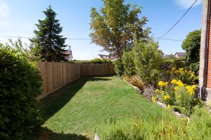 Garden (3)- click for photo gallery